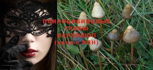 PSILOCYBIN Белокуриха
