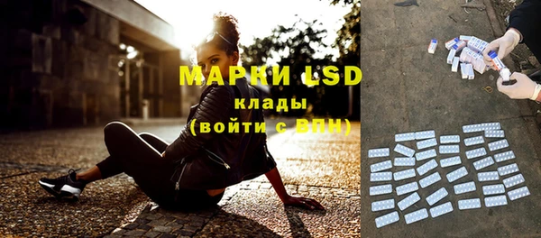 PSILOCYBIN Белокуриха