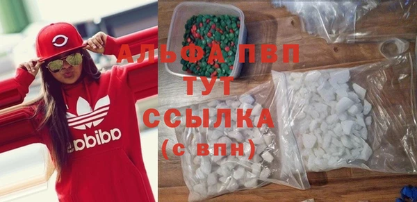 PSILOCYBIN Белокуриха