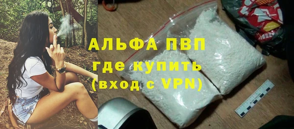 PSILOCYBIN Белокуриха