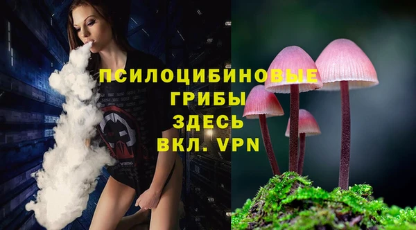 PSILOCYBIN Белокуриха